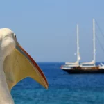 راهنمای سفر به جزیره های یونان