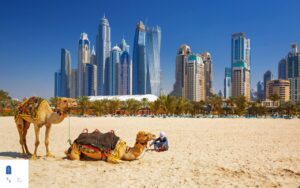 مدت اعتبار ویزای انفرادی امارات چقدر است؟